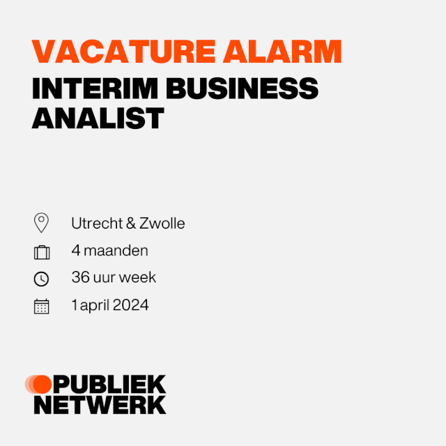 Interim Business Analist