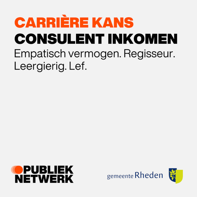 Inkomens Consulent